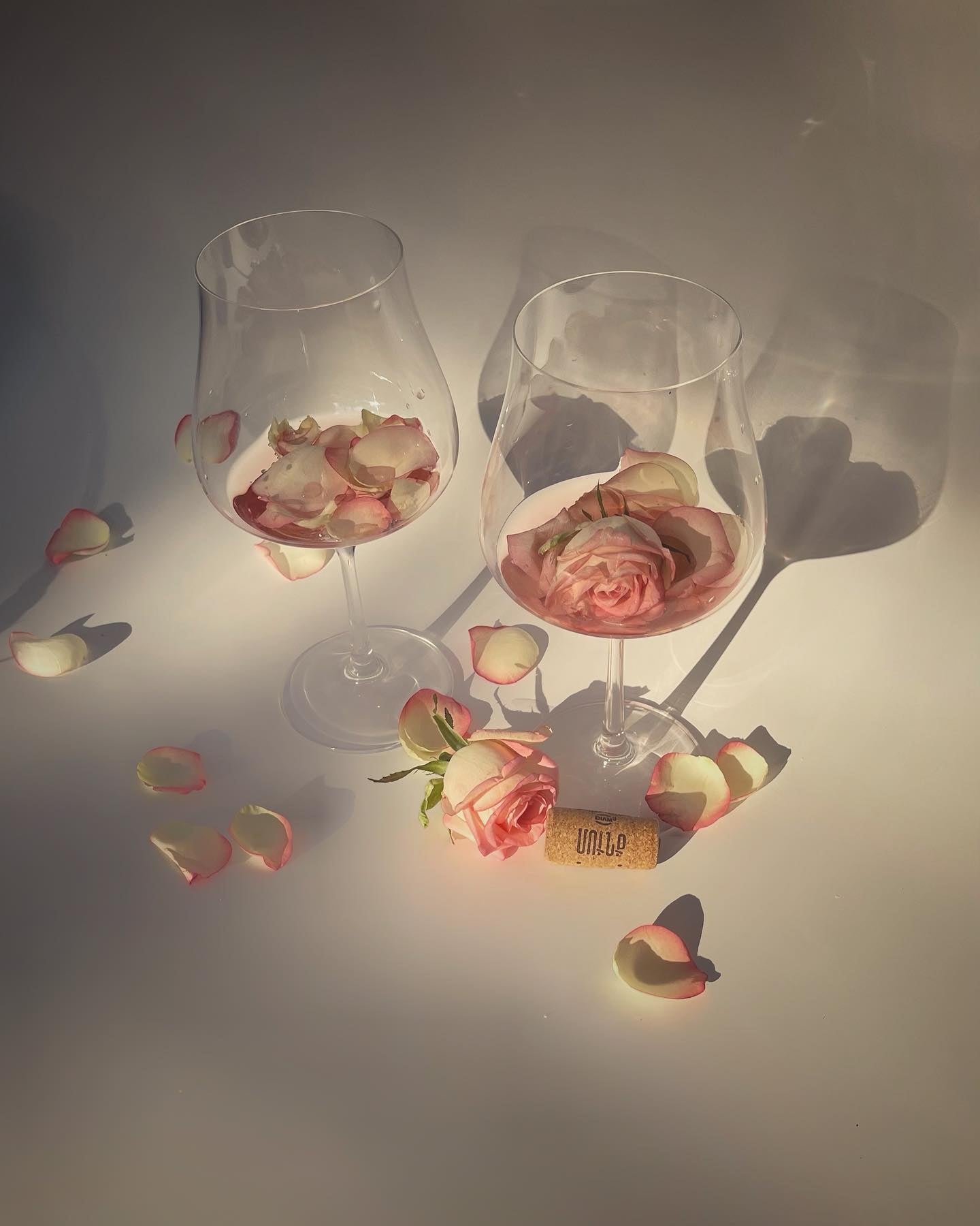 MOONQ Dark Rosé Wine - Nrneni - 2023 (Winner of the MUNDUS VINI 2024 Silver Medal)