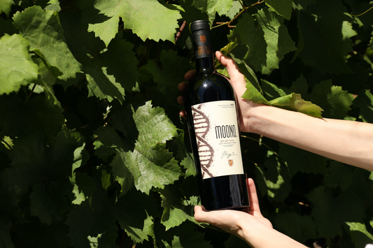 MOONQ Red Dry Wine - Areni-Khndoghni-Nrneni 2022  (Winner of the MUNDUS VINI 2024 Silver Medal)