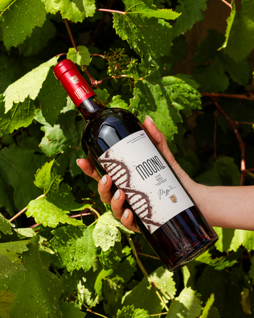 MOONQ Dark Rosé Wine - Nrneni - 2023 (Winner of the MUNDUS VINI 2024 Silver Medal)